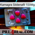 Kamagra Sildenafil 100Mg 13